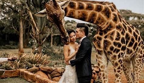 chloe scott and alex daigle wedding|Cheryl Scott and Dante Deiana tie the knot in stunning wedding .